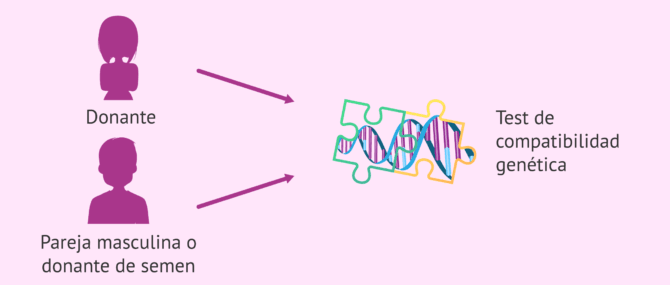 Imagen: Matching genético o test de compatibilidad genética