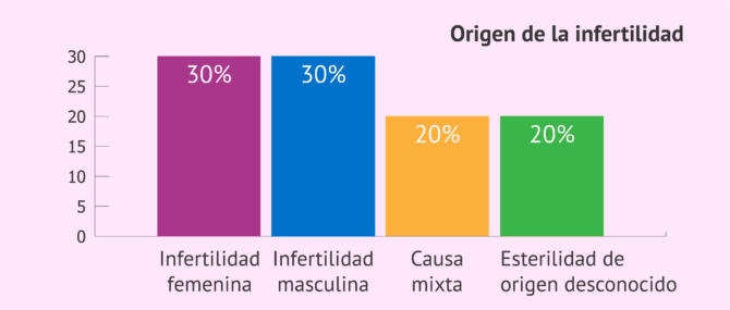 Imagen: Porcentajes de las causas de la infertilidad