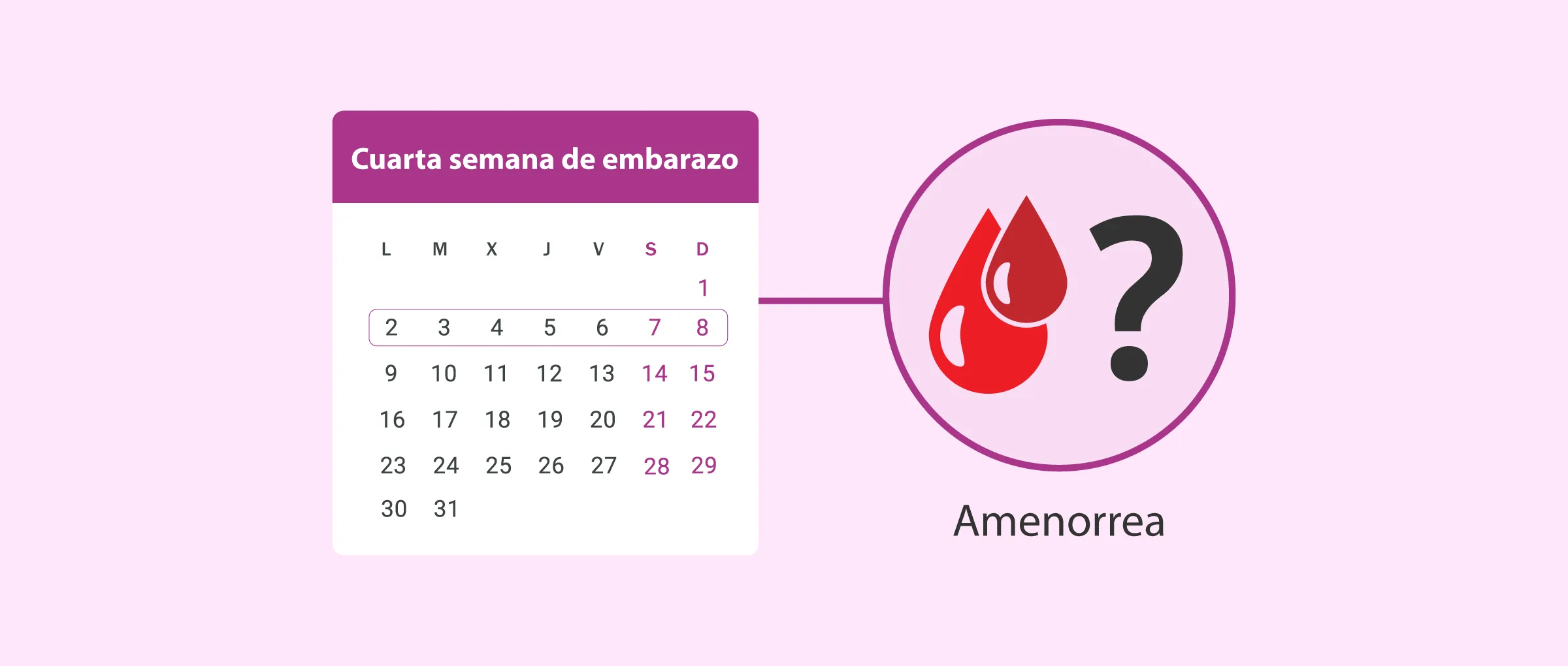 Retraso menstrual o amenorrea y embarazo