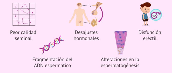 Imagen: Efectos del tabaco en la fertilidad masculina