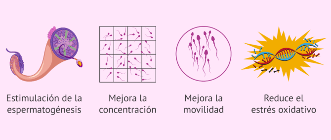 Imagen: Ventajas de la acupuntura para la fertilidad masculina