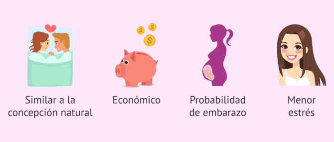 Imagen: ¿Qué beneficios tiene el coito dirigido?