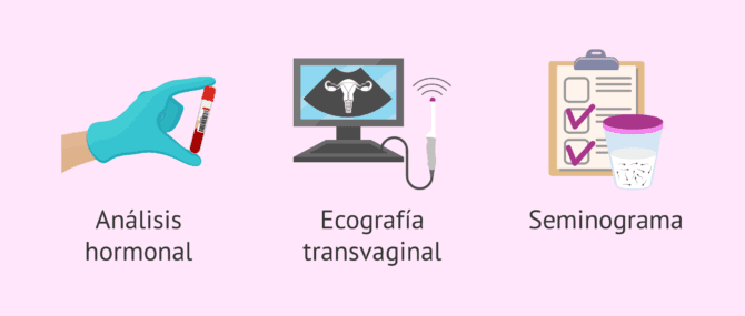 Imagen: Estudio de fertilidad de la pareja