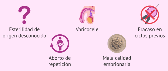 Imagen: Indicaciones para el estudio de la fragmentación espermática