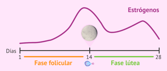 Imagen: ¿En qué se basa un test de ovulación en saliva?