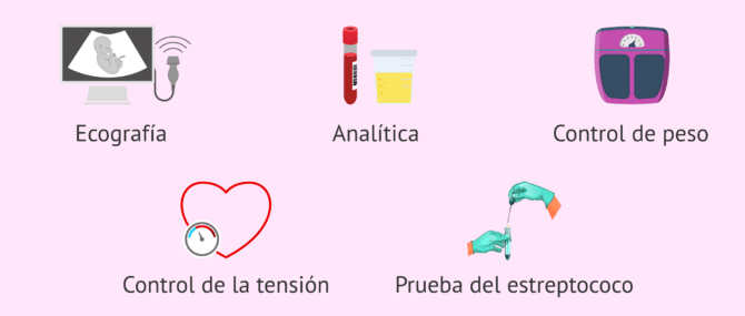 Imagen: ¿Qué pruebas hay que hacer en la semana 35 de embarazo?