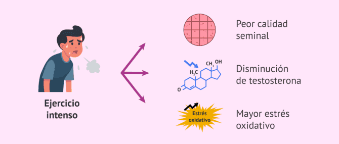 Imagen: ¿Afecta a la fertilidad masculina el deporte intenso?