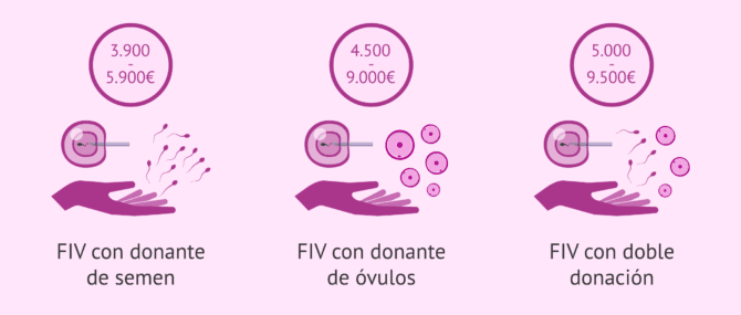 Imagen: Precio de la FIV con donación de gametos