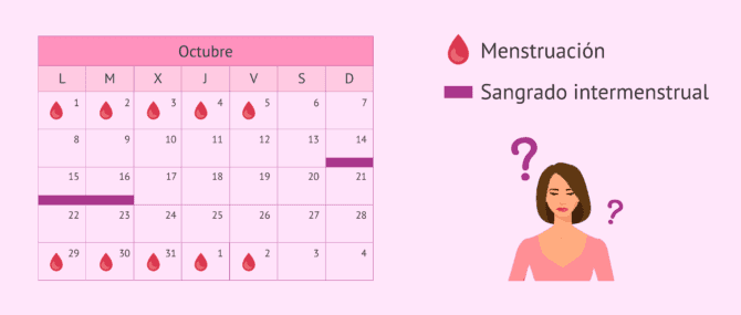 Imagen: ¿Qué es y cuánto dura un sangrado intermenstrual?