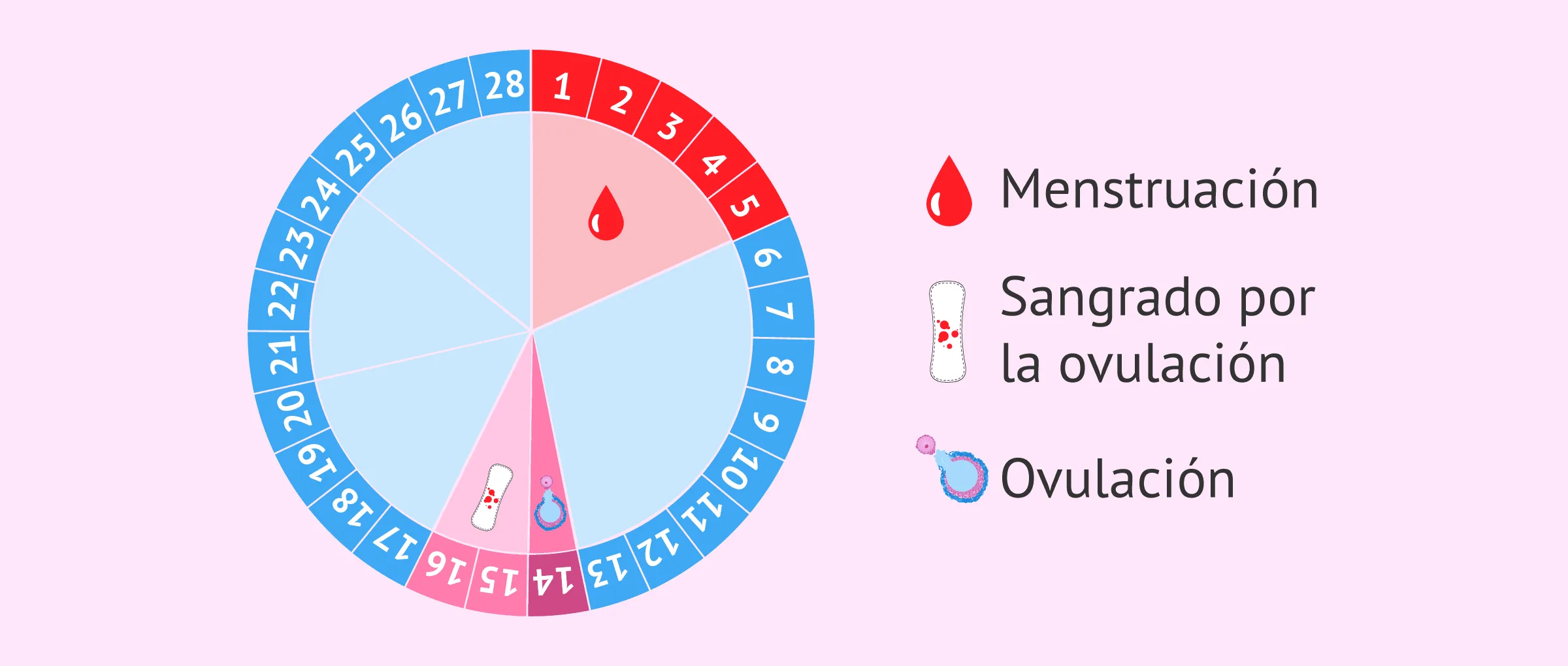 ¿Es posible sangrar con la ovulación?