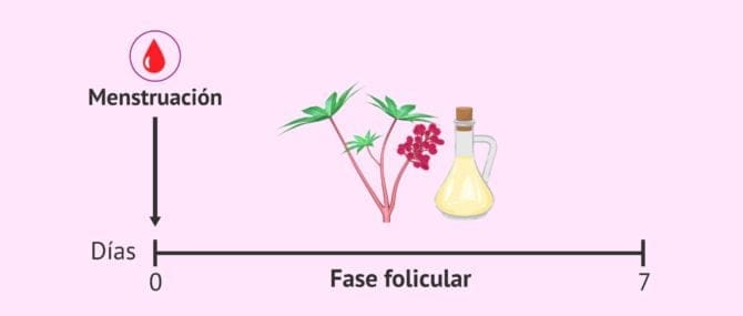 Imagen: Aceite de ricino para mejorar el endometrio