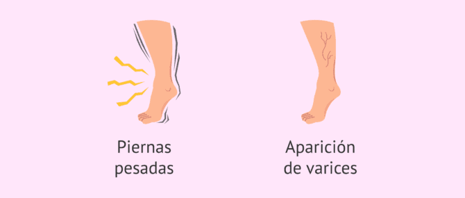 Imagen: Evolución fetal durante la semana 20 de gestación