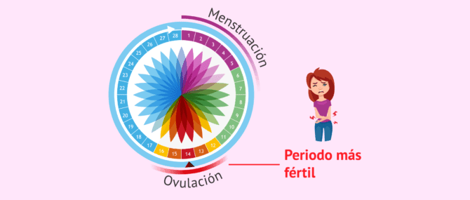 Imagen: El dolor es una señal de ovulación