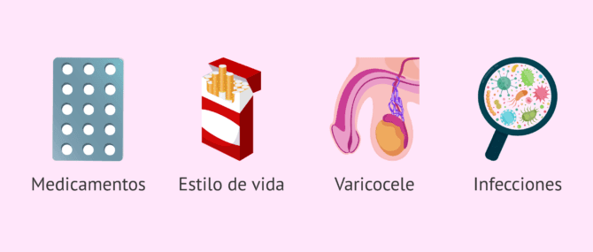 Imagen: Posibles causas de oligoastenoteratozoospermia