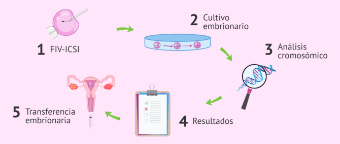 Imagen: Proceso del test genético preimplantacional no invasivo o test Embrace