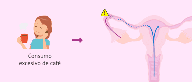 Imagen: Efectos del consumo de café en la fertilidad femenina