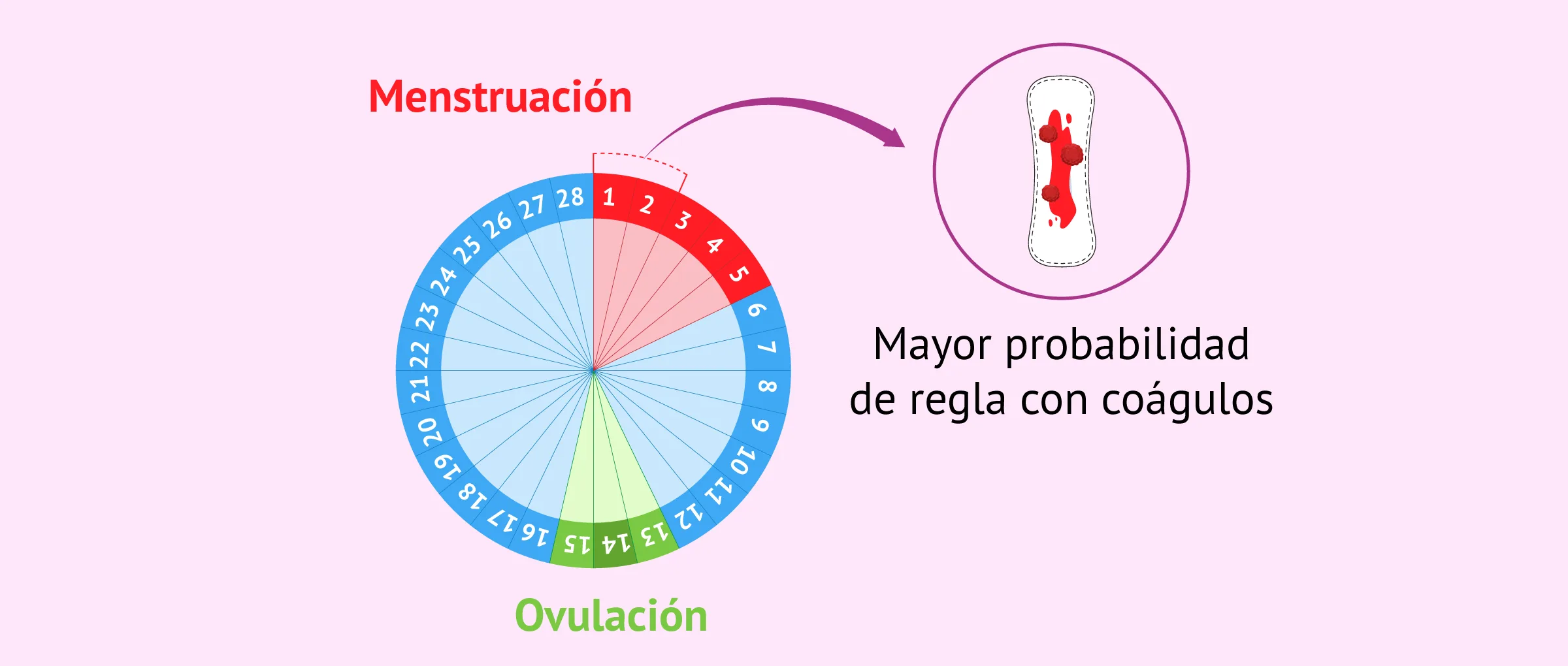 ¿Cuándo aparecen coágulos en la regla?