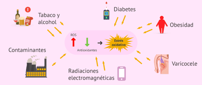 Imagen: Factores que llevan al aumento de ROS