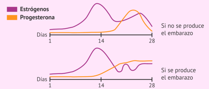 Imagen: Niveles hormonales en la fase lútea