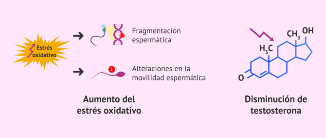 Imagen: ¿Tiene algún efecto el teléfono móvil sobre la calidad seminal?