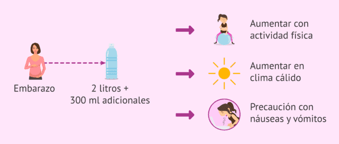 Imagen: Incrementar el consumo de agua en el embarazo