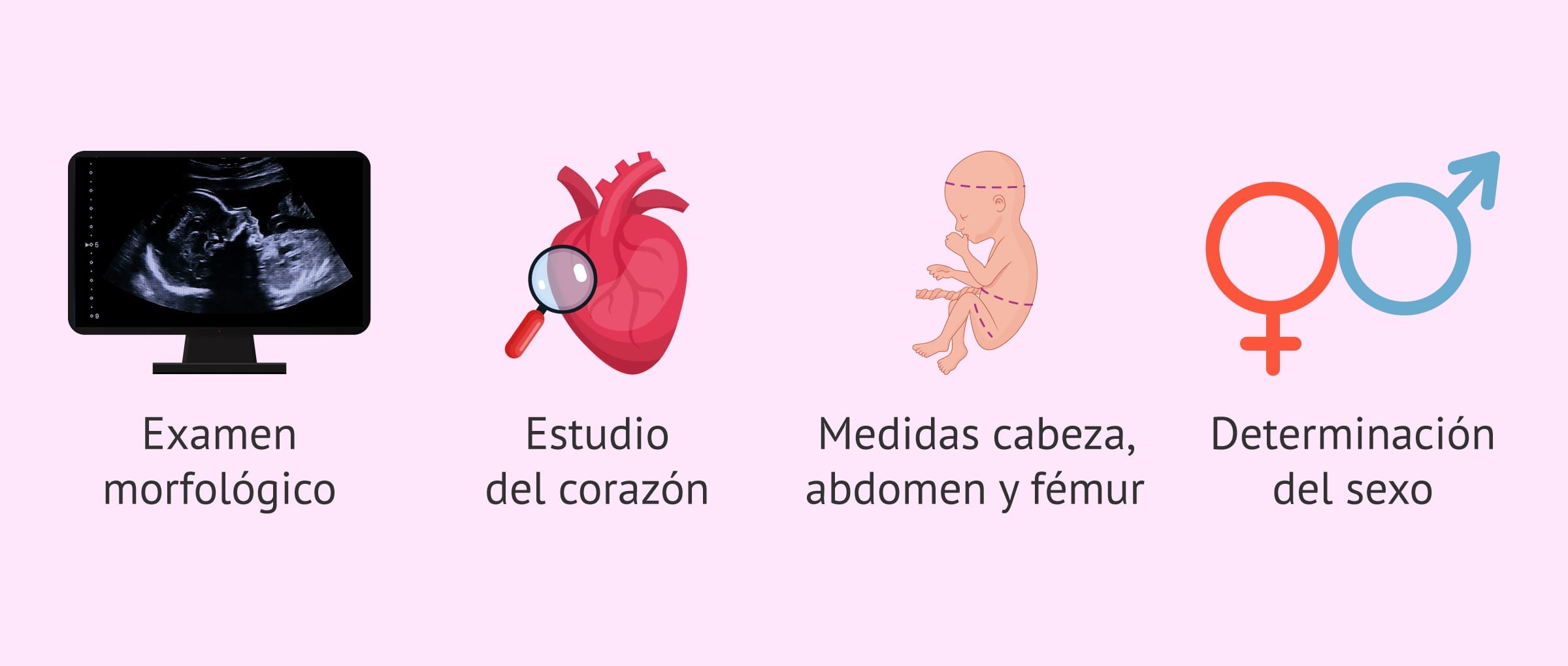 Imagen: Pruebas en el segundo trimestre.