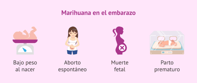 Imagen: Consumo de marihuana en el embarazo