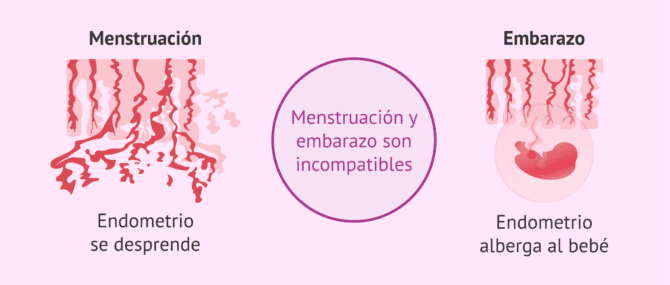 Imagen: Incompatibilidad del embarazo y la menstruación