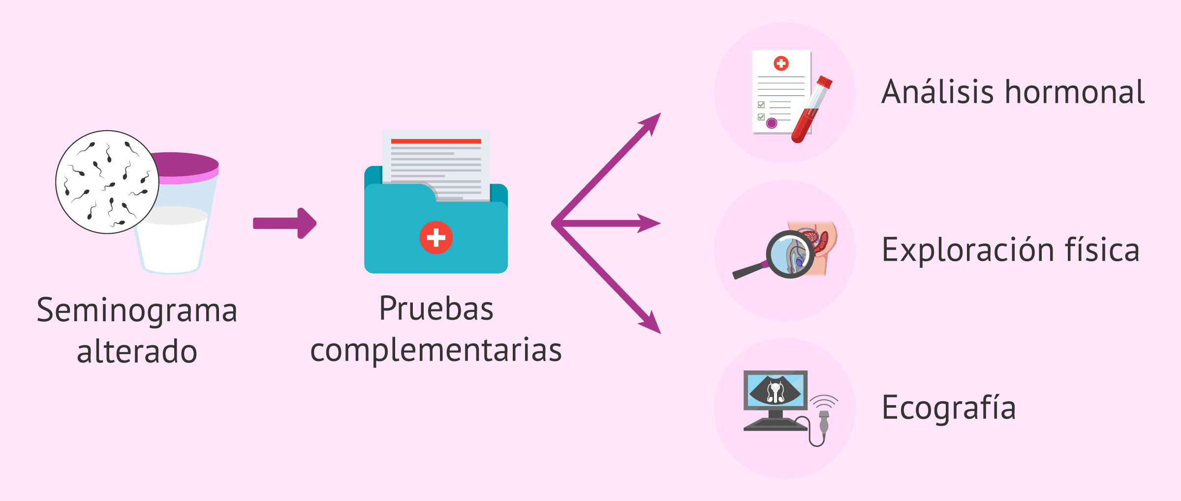 Imagen: Pruebas diagnósticas para la criptozoospermia