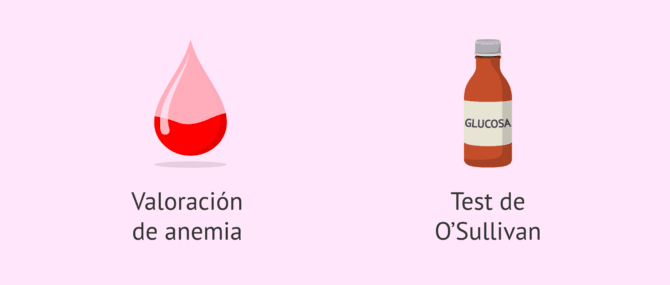 Imagen: Pruebas médicas en la semana 24 de embarazo