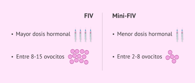 Imagen: Comparación entre la FIV y la mini-FIV