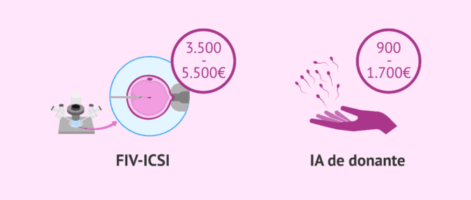 Imagen: Precio de las diferentes alternativas de reproducción asistida en pacientes con necrospermia