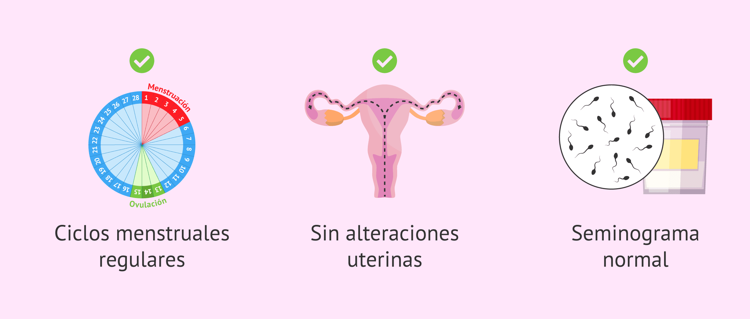 Imagen: Criterios para el diagnóstico de la EOD