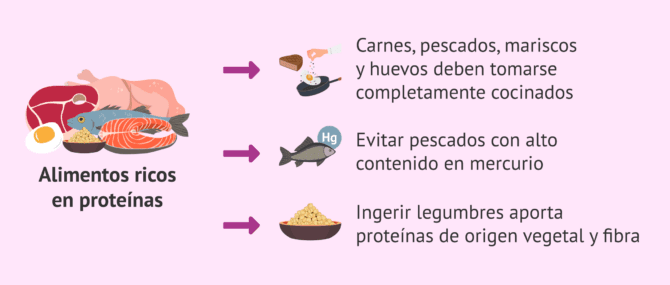 Imagen: Alimentos proteicos en el embarazo