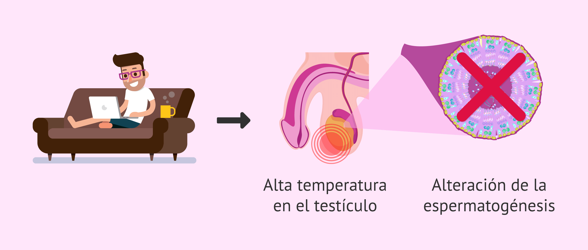 La calidad del esperma: cómo se mide y qué hacer para mejorarla