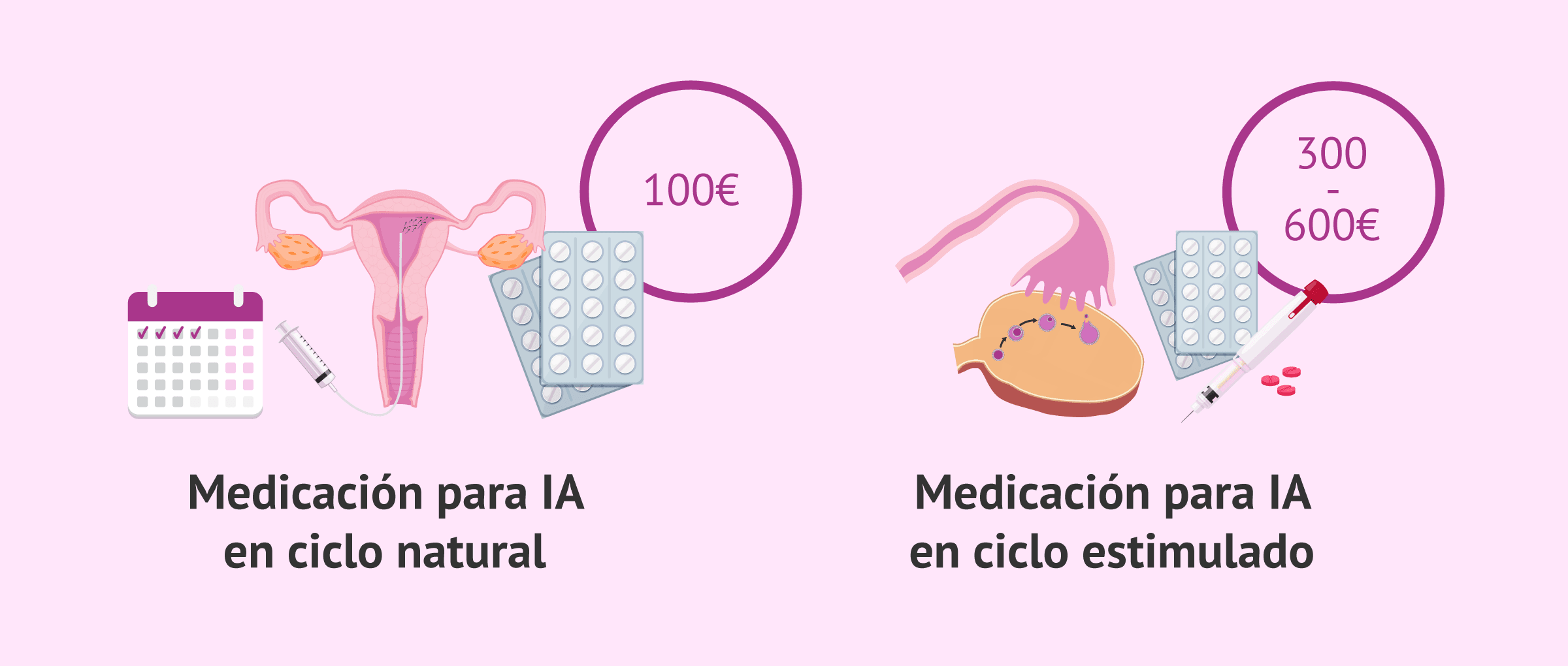 Imagen: ¿Cuánto vale la medicación hormonal para la inseminación artificial?