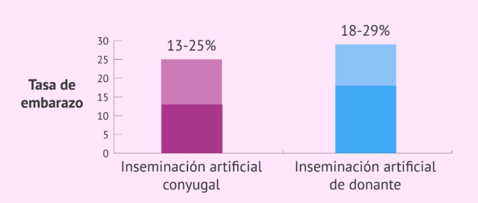 Imagen: Probabilidad de embarazo de la IA