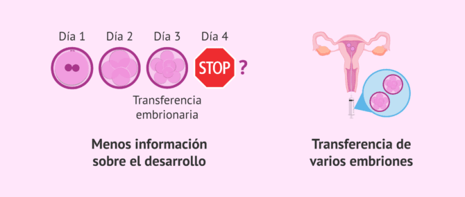 Imagen: Desventajas de la transferencia embrionaria en día 3