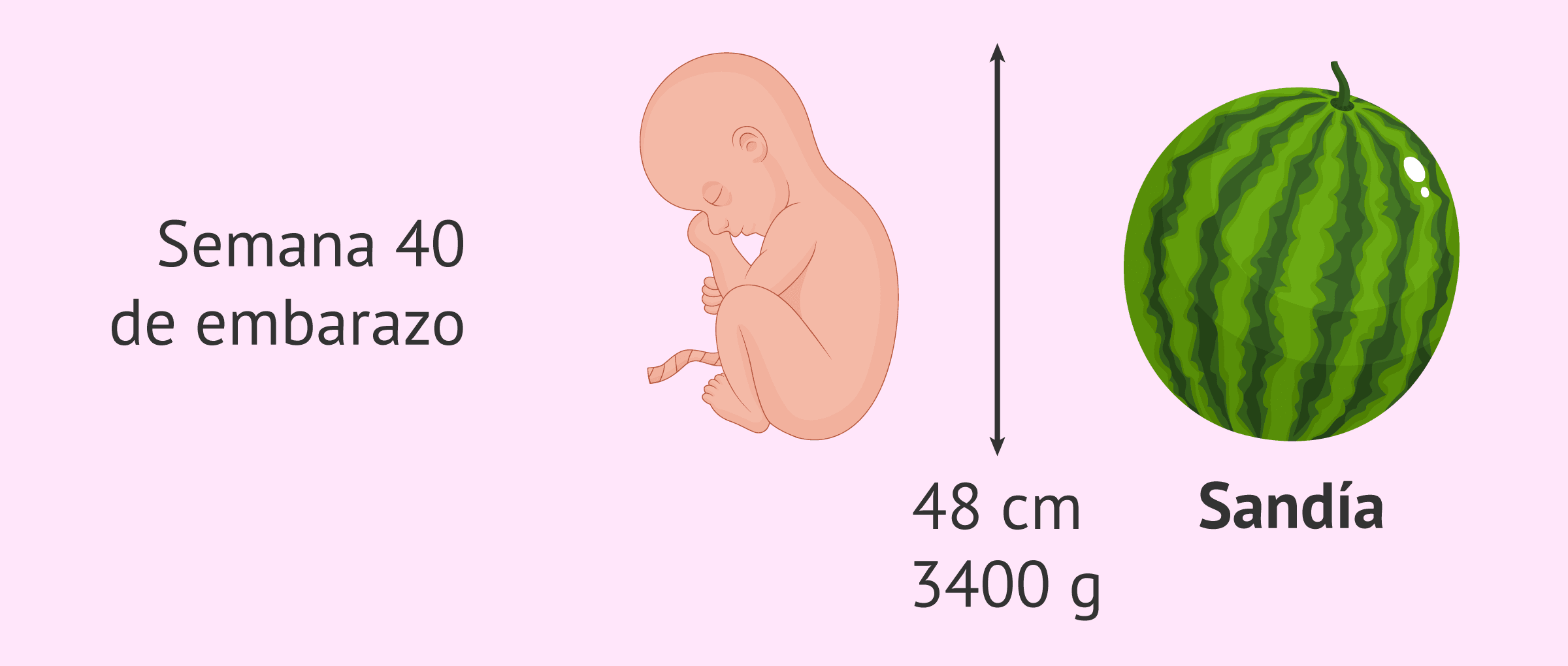 Imagen: Alumbramiento a las 40 semanas de gestación