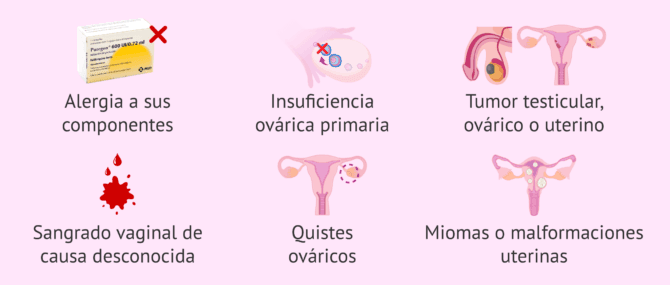 Imagen: Contraindicaciones del Puregon