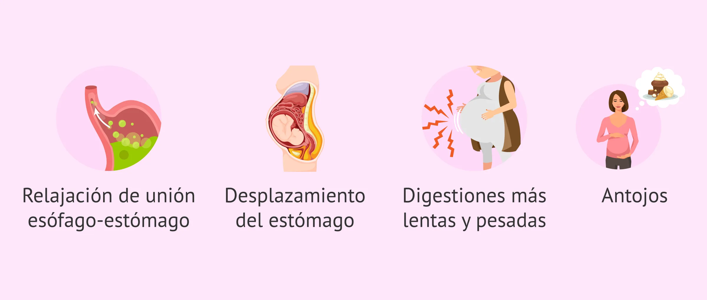 Cambios digestivos en el embarazo